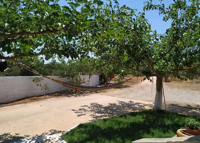 Trifyllianika Calm View Trifillianika